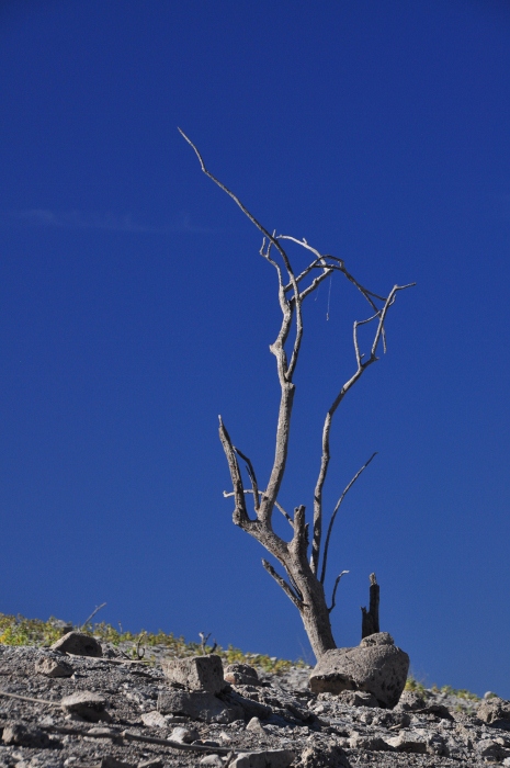 lake pleasant at low level